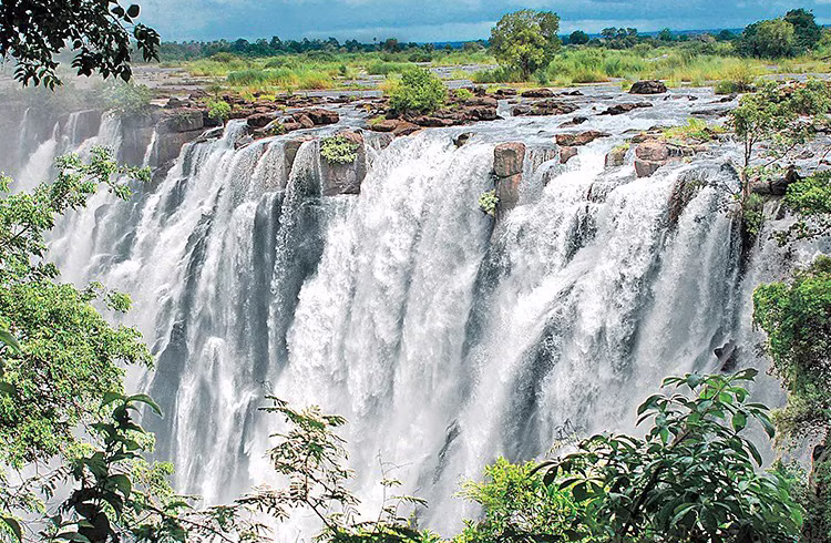 wildlife safari and Victoria Falls