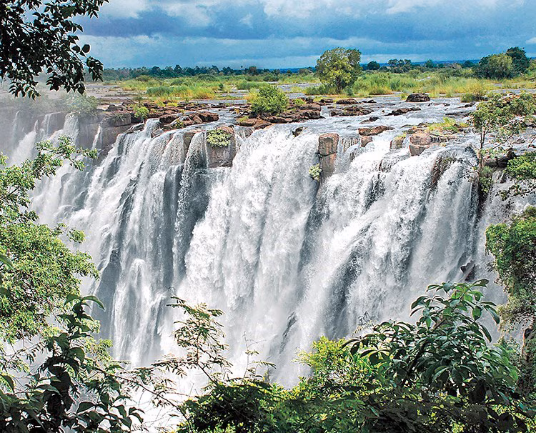 wildlife safari and Victoria Falls